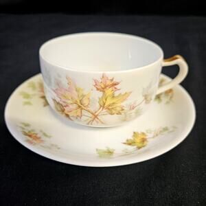 Haviland and Co. Limoges France Autumn Leaf Tea Cup and Saucer